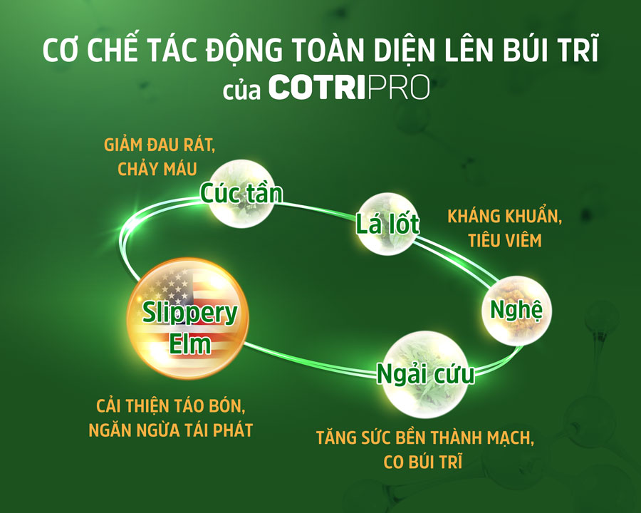 Co-che-tac-dong-cotripro-web.jpg