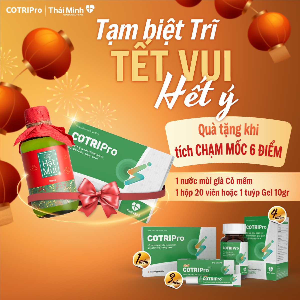 Tạm biệt trĩ - Tết vui hết ý cùng COTRIPro