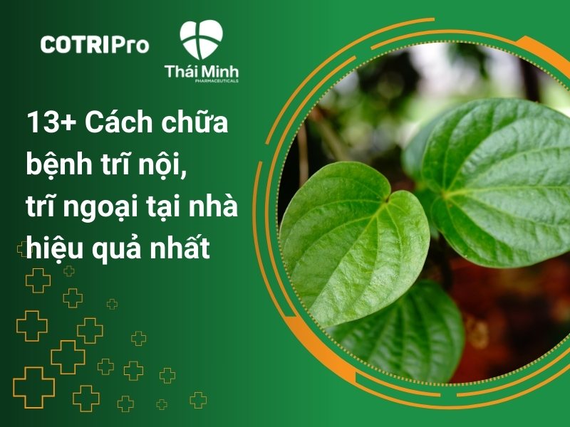 13+ Cách điều trị bệnh trĩ nội, trĩ ngoại tại nhà hiệu quả nhất