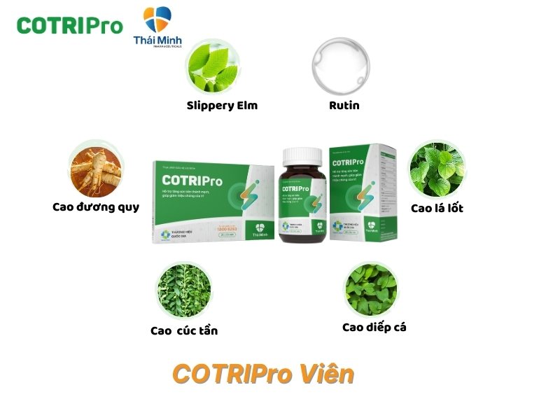 Thành phần trong viên uống cotripro