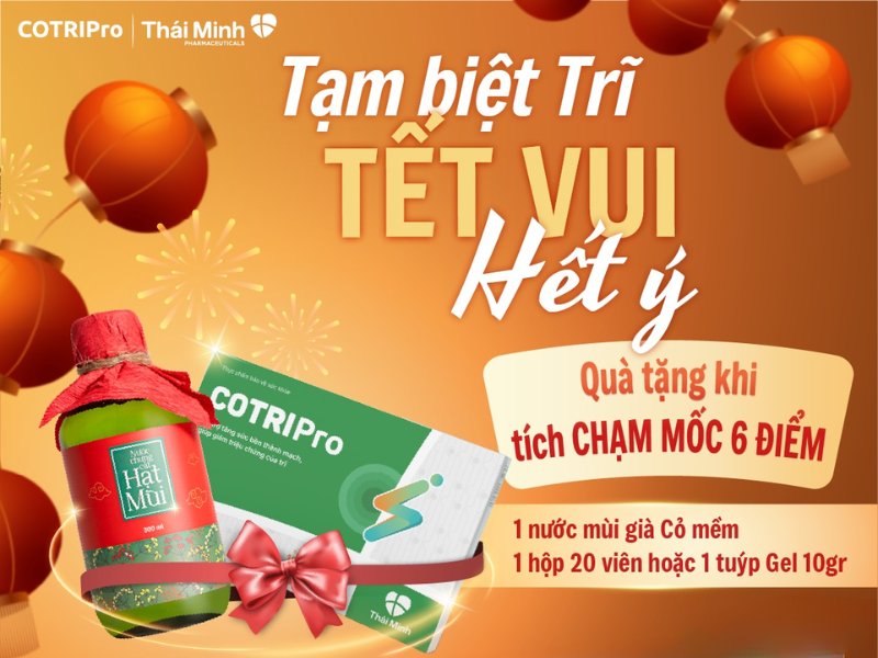 Tạm biệt trĩ - Tết vui hết ý cùng COTRIPro