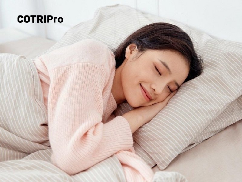 Những lưu ý khi sử dụng cúc tần để điều trị bệnh trĩ