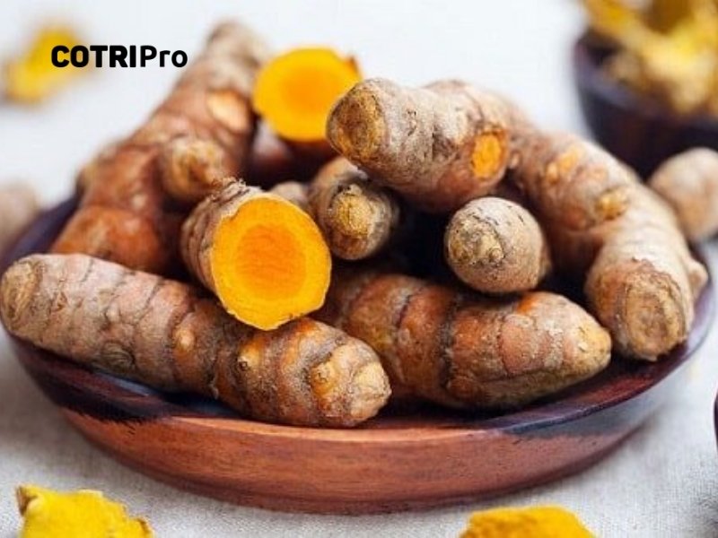 Nghệ là gì