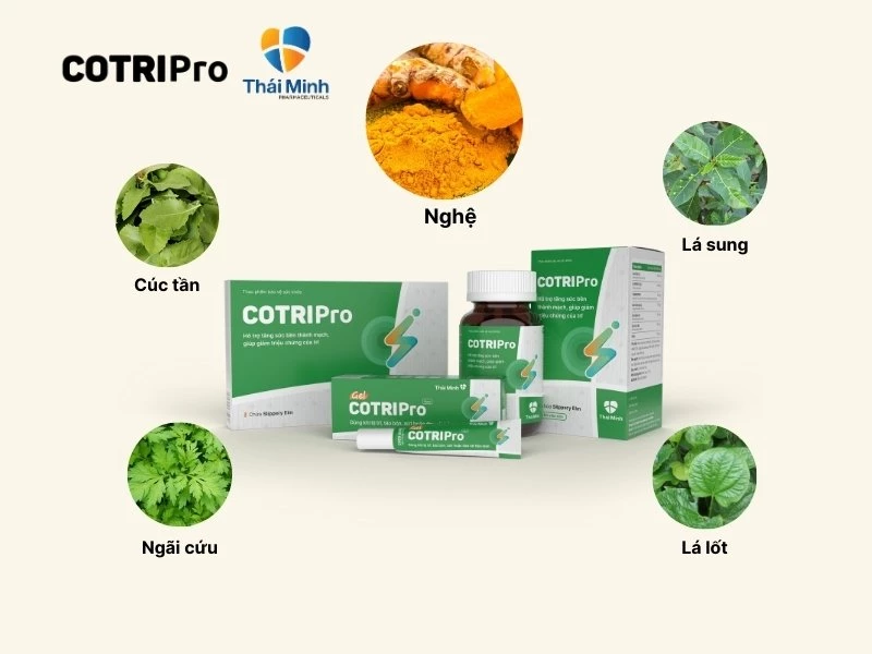cotripro chiết xuất từ tinh nghệ