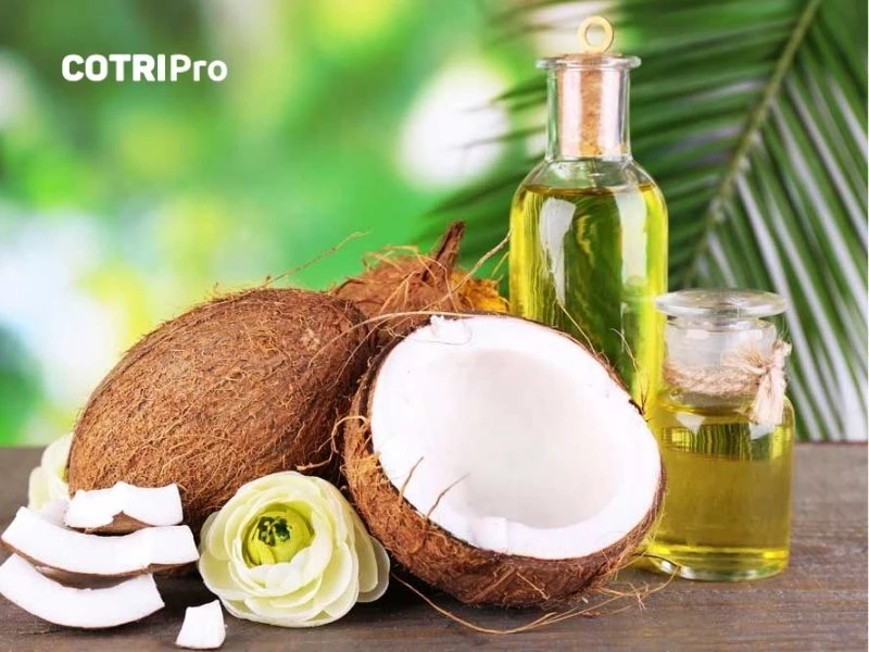 Dầu dừa giúp hỗ trợ, teo búi trĩ ngoại