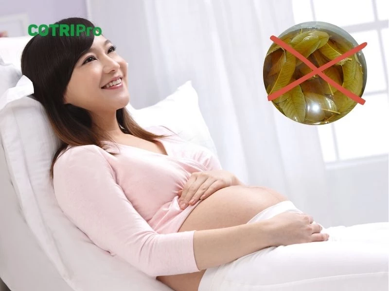 Lá ổi không có tác dụng phụ nếu sử dụng đúng cách