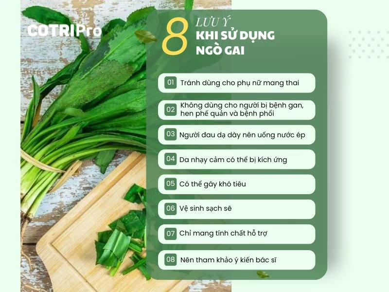 Lưu ý khi sử dụng ngò gai điều trị bệnh trĩ