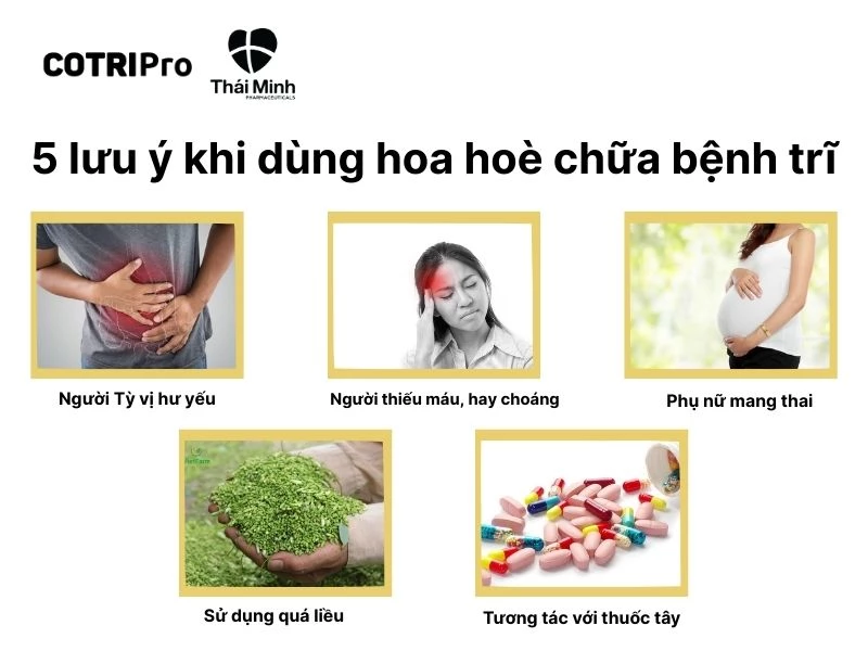 5 lưu ý khi dùng hoa hòe trị trĩ