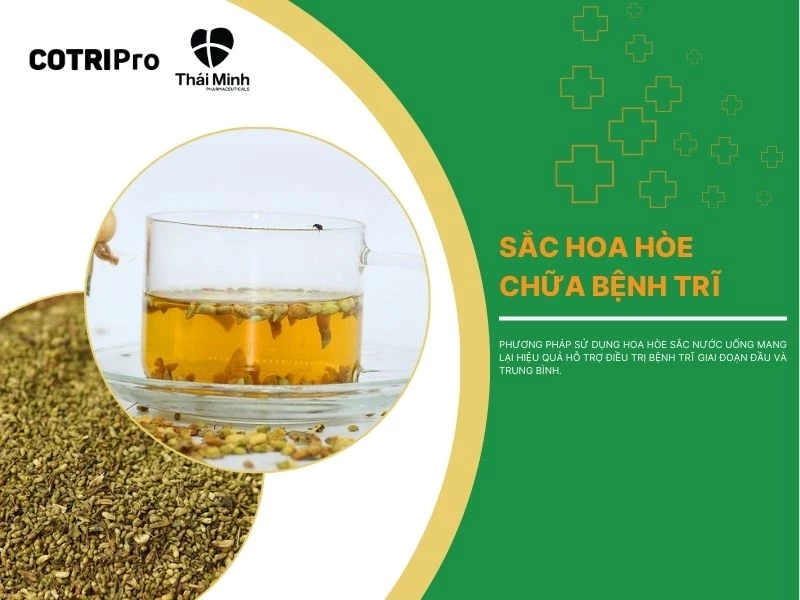 Sắc hoa hòe uống trị trĩ nội nhẹ