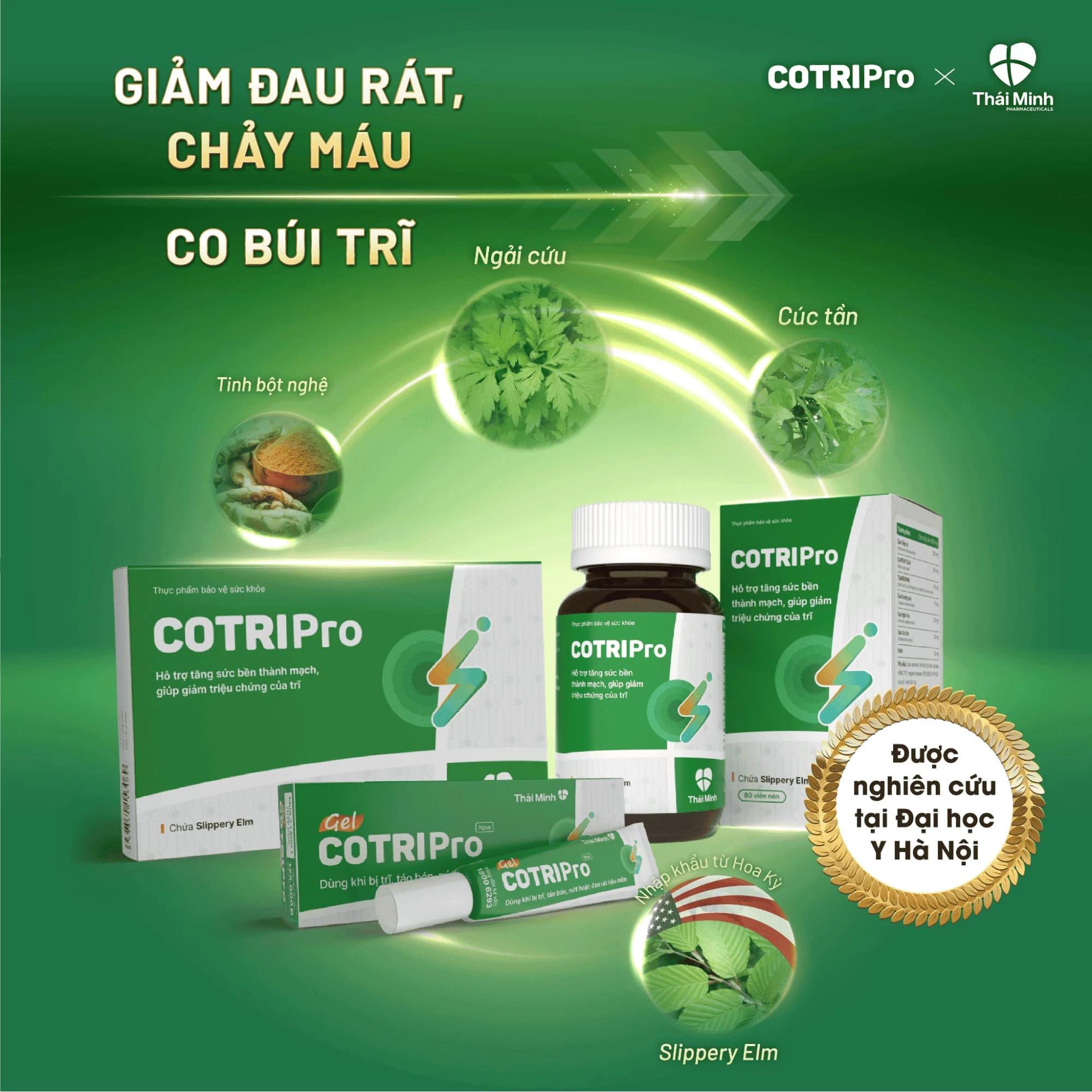 thanh-phan-vien-uong-cotripro.webp
