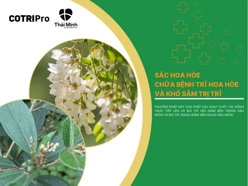 Thoa hoa hòe và khổ sâm lên hậu môn trị trĩ