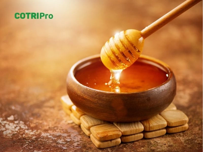Thoa mật ong teo búi trĩ ngoại