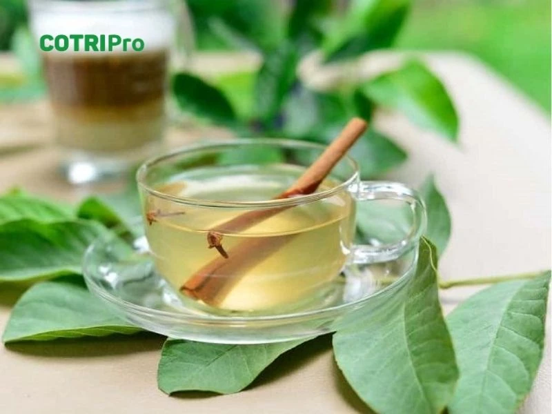 Uống nước trà lá ổi