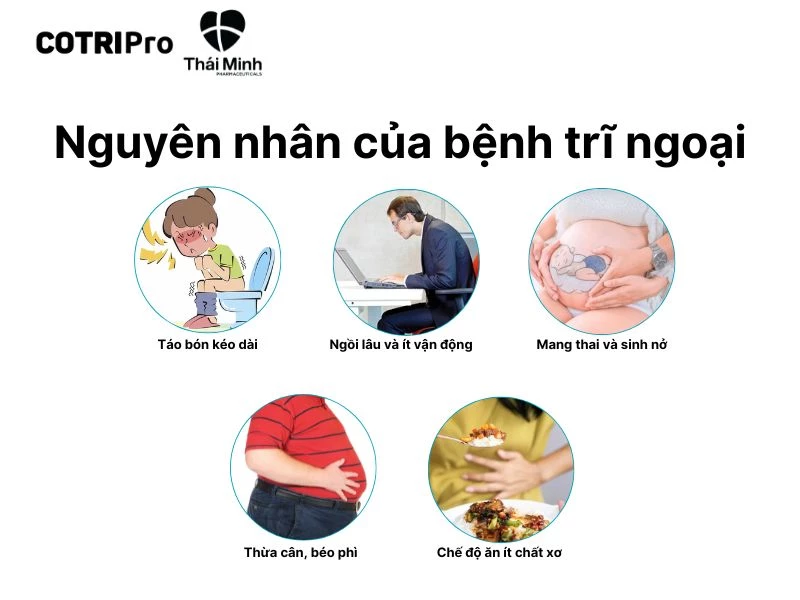 Đề phòng trĩ ngoại qua các nguyên nhân
