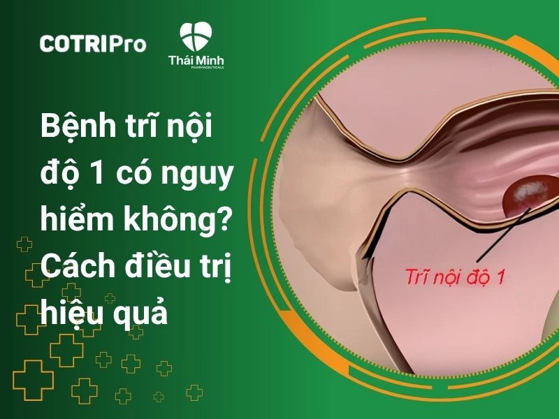 Bệnh trĩ nội độ 1 có nguy hiểm không? Cách điều trị hiệu quả