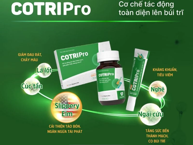 COTRIPro giảm triệu chứng của bệnh trĩ