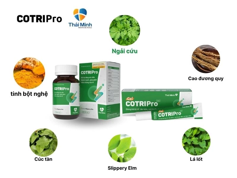 Dùng COTRIPro trị trĩ độ 2