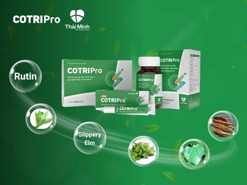 COTRIPro giúp trị trĩ nội độ 3