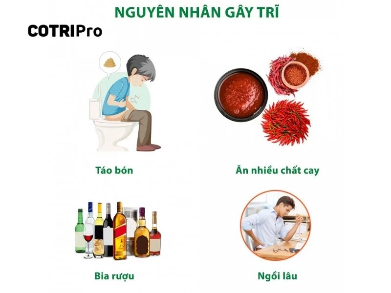 Bệnh trĩ do nguyên nhân nào