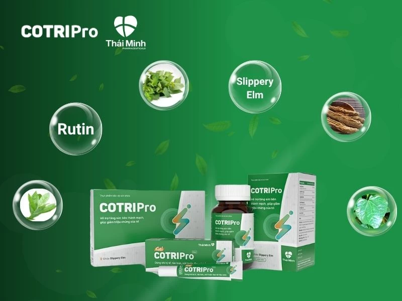 COTRIPro có thành phần hỗ trợ trĩ ngoại