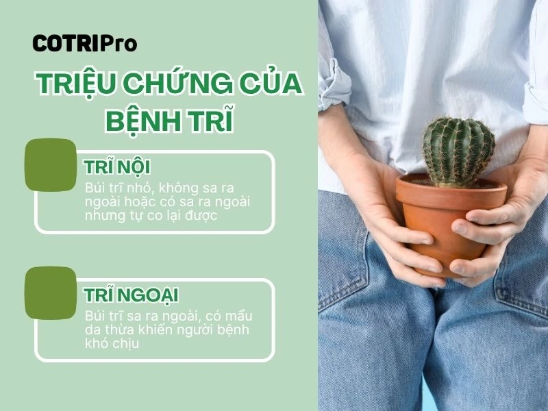 Triệu chứng trĩ nội và trĩ ngoại