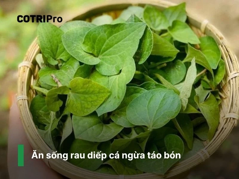 Cải thiện hệ tiêu hóa với diếp cá