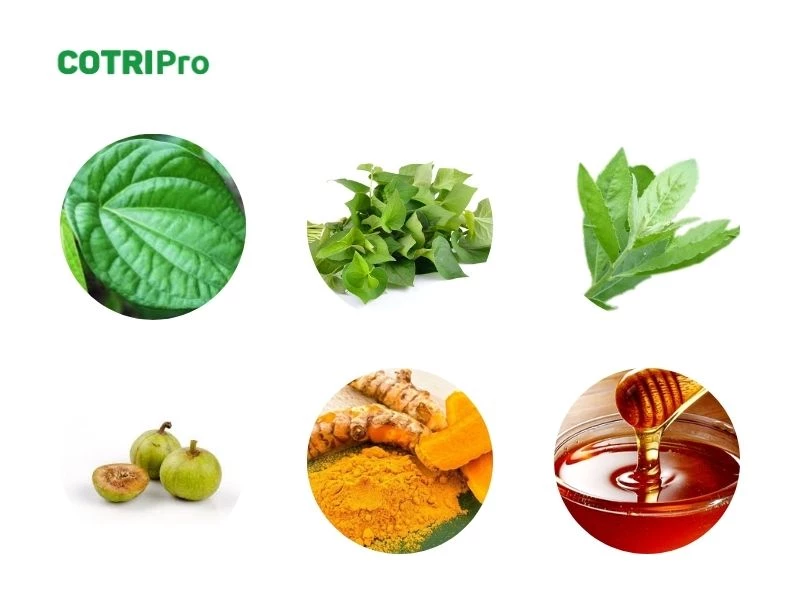 Bài thuốc dân gian ngừa trĩ độ 2