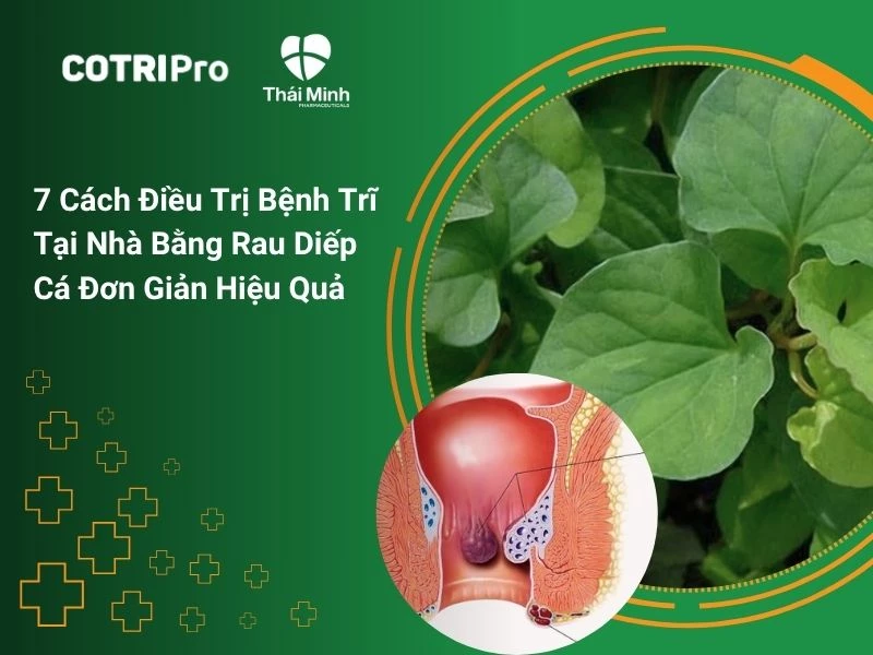 7 Cách Điều Trị Bệnh Trĩ Tại Nhà Bằng Rau Diếp Cá Đơn Giản Hiệu Quả