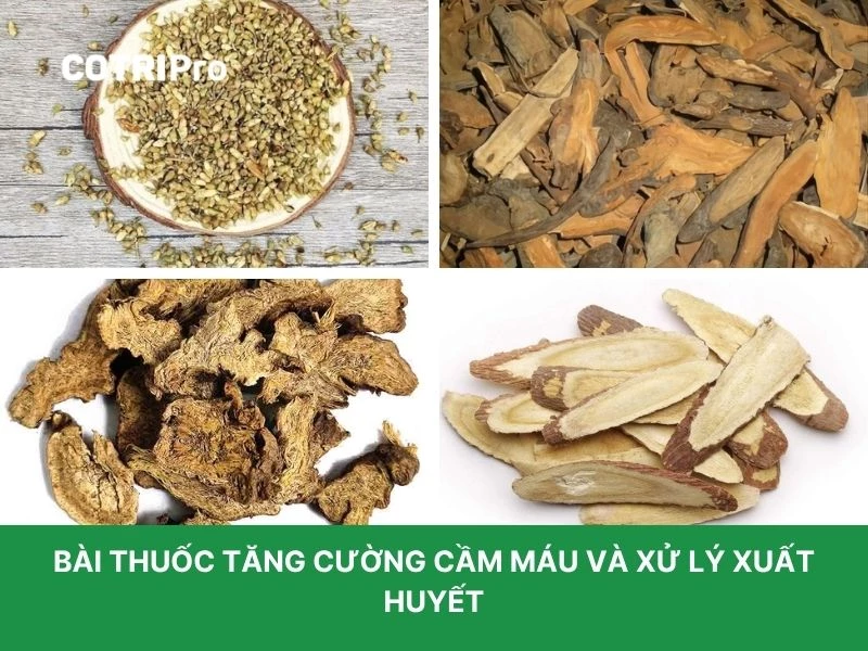 Hoa hòe giúp cầm máu