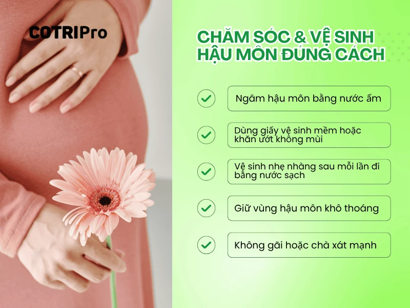 Vệ sinh hậu môn ngừa trĩ hiệu quả