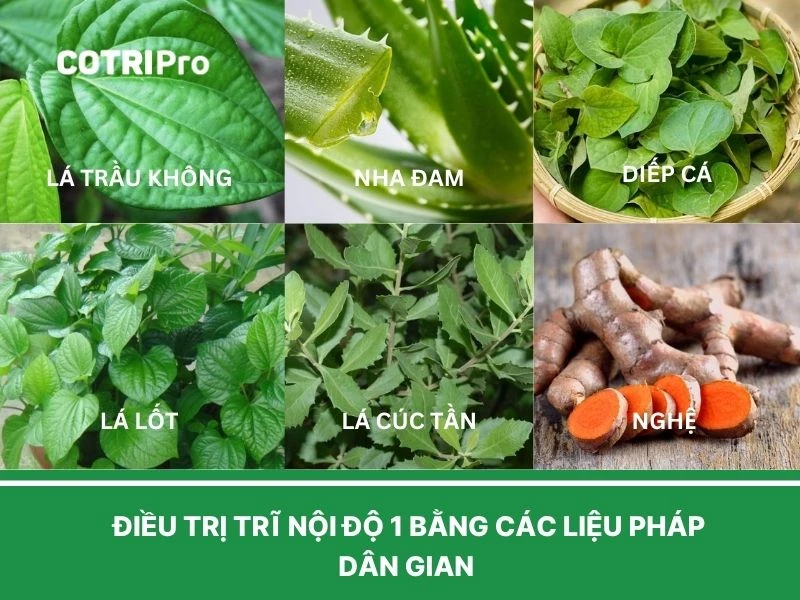 Biện pháp dân gian chữa trĩ nội độ 1