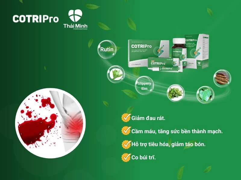 Sản phẩm COTRIPro cầm máu trĩ
