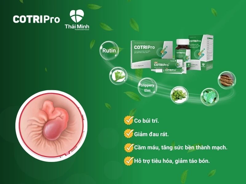 Bộ đôi COTIRPro giúp co búi trĩ ngoại
