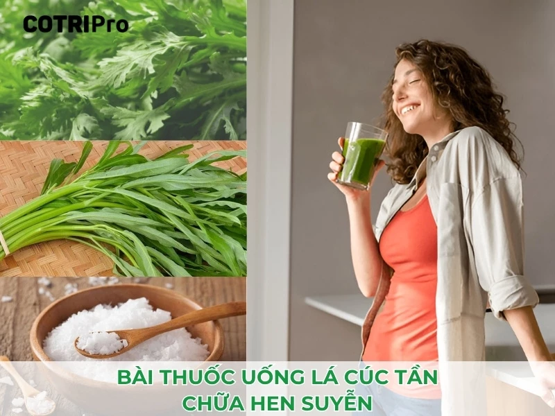 lá cúc tần chữa bệnh hen suyển