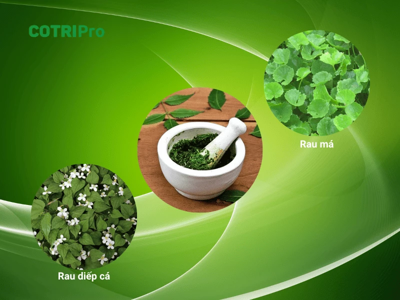 Thảo dược giúp giảm ngứa búi trĩ