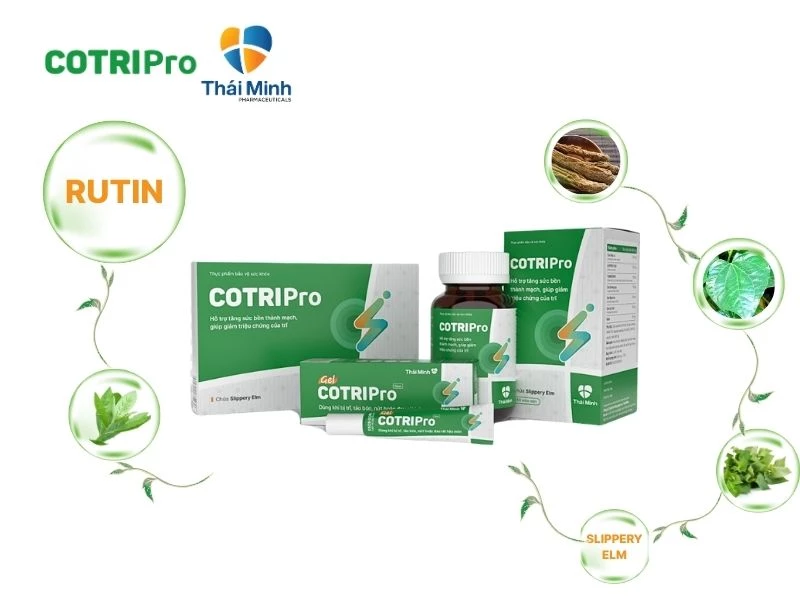 COTRIPro có thành phần hoa hòe