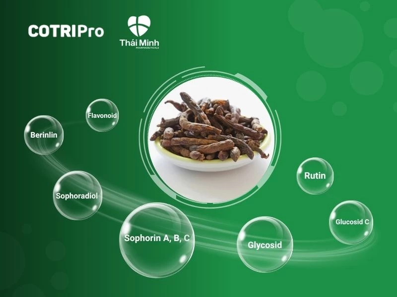 Hoạt chất nụ hoa hòe có lợi cho sức khỏe