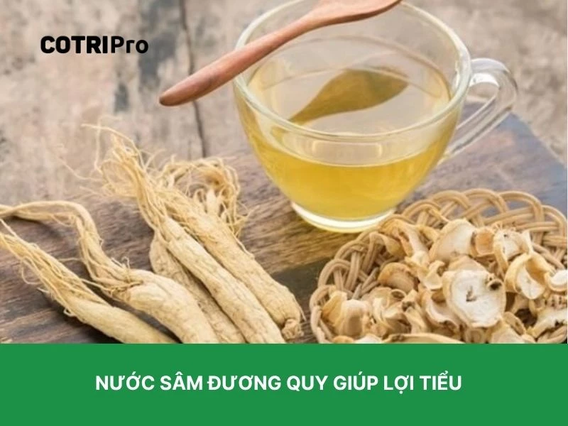 Đương quy giúp lợi tiểu