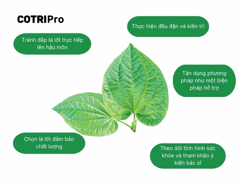 Cách sử dụng lá lốt an toàn