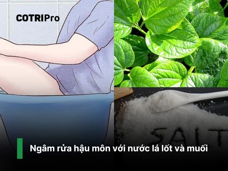 Lá lốt và muối giúp kháng khuẩn.