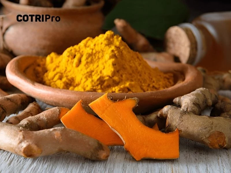 Nghệ tác dụng trị vàng da sau sinh
