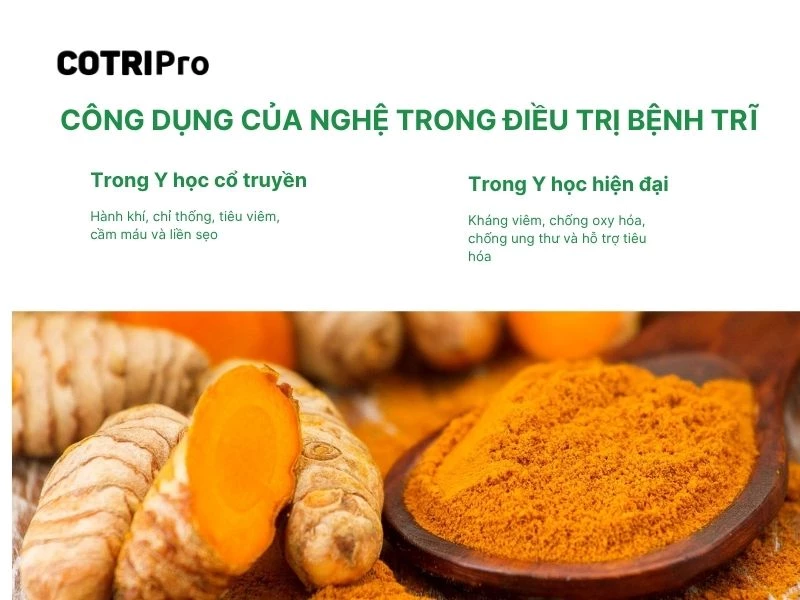Nghệ trong y học cổ truyền và hiện đại