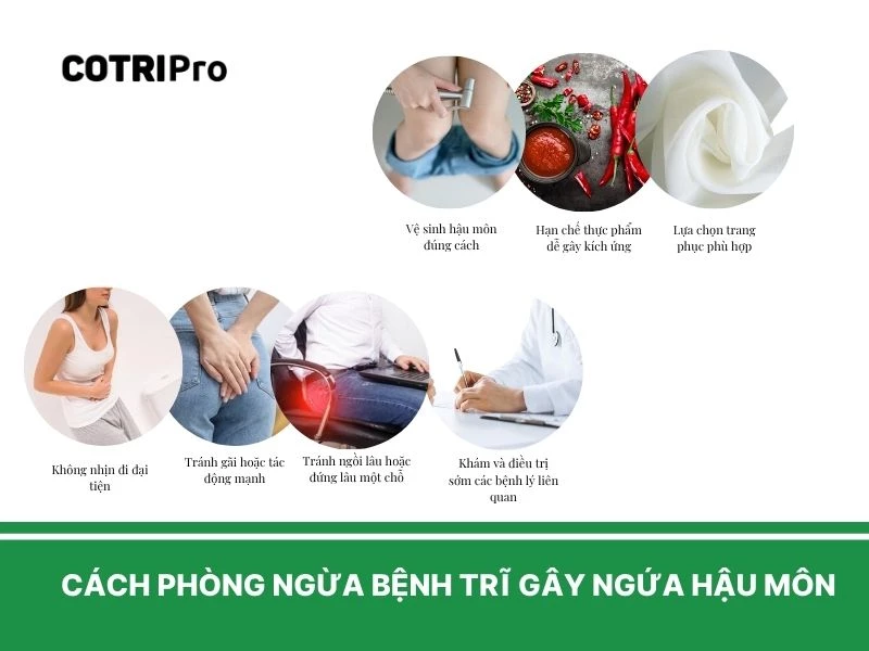 Các thói quen ngừa bệnh trĩ ngứa hậu môn