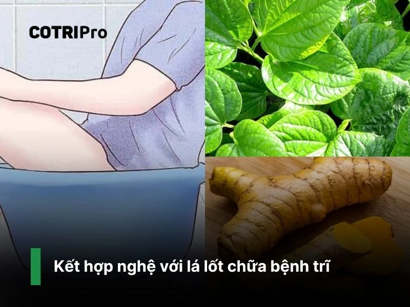 Lá lốt cùng nghệ trị trĩ