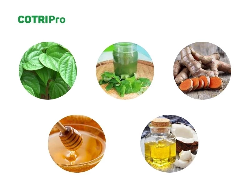 Nguyên liệu dân gian giúp cầm máu trĩ