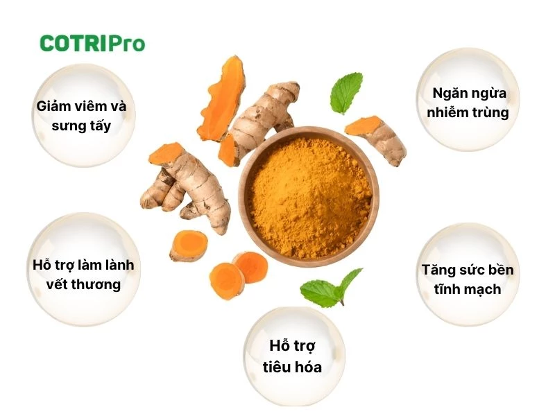 công dụng nghệ trị trĩ
