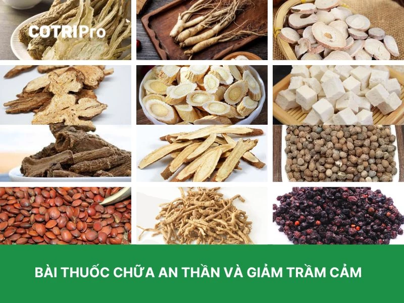 Đương quy trị trầm cảm