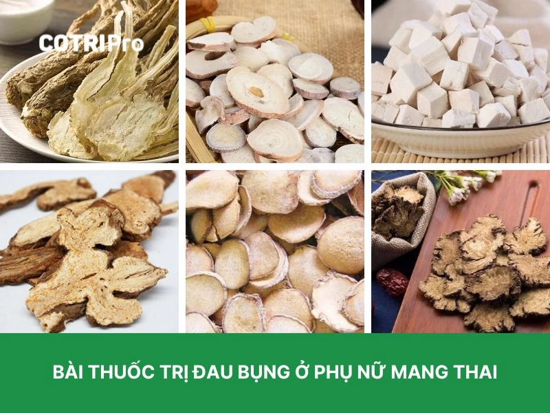 Đương quy chữa đau bụng