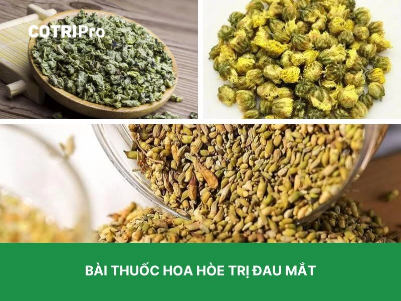 Hoa hòe trị đau mắt