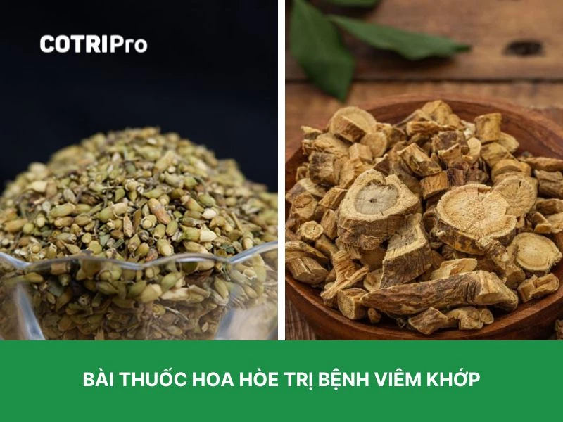 Hoa hòe trị đau nhức